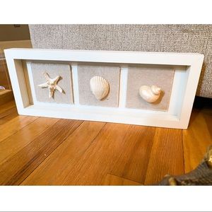 Seashell Frame